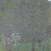 Rose Bushes Under the Trees (mk20) Gustav Klimt